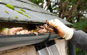 gutter cleaning Bisterne, Hampshire