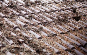 Bisterne roof cleaning companies