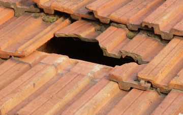 roof repair Bisterne, Hampshire